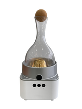 Load image into Gallery viewer, Ice Wine Decanter LB-02 丨Goodpapa®
